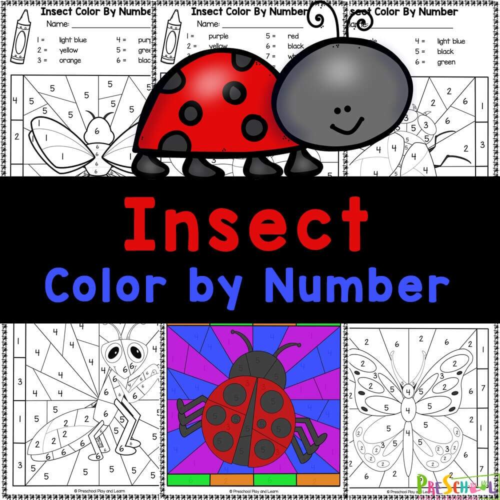 FREE Insect Color By Number Bug Worksheets FREE Insect Color By Number Bug Worksheets