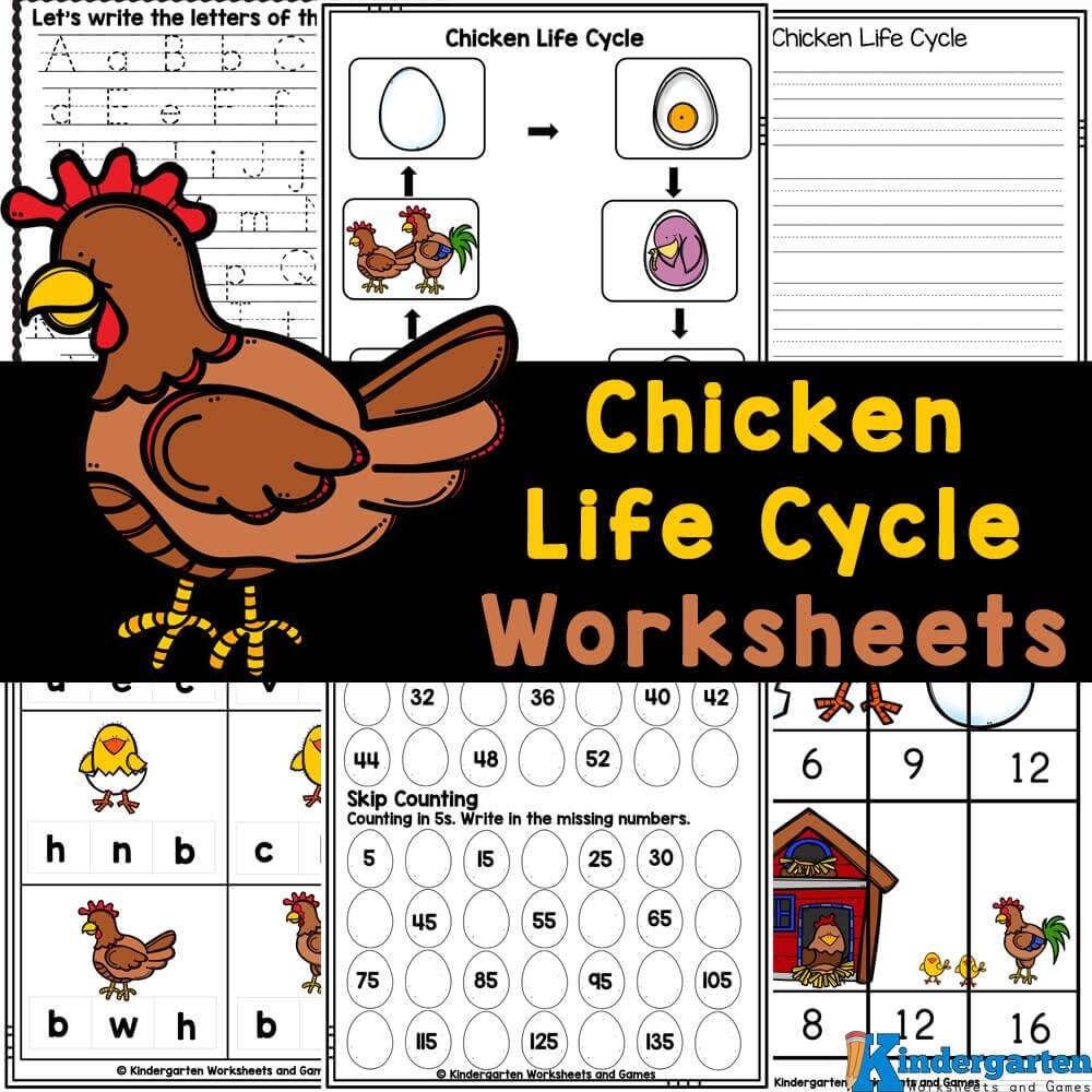 FREE Printable Chicken Life Cycle Worksheets FREE Printable Chicken Life Cycle Worksheets
