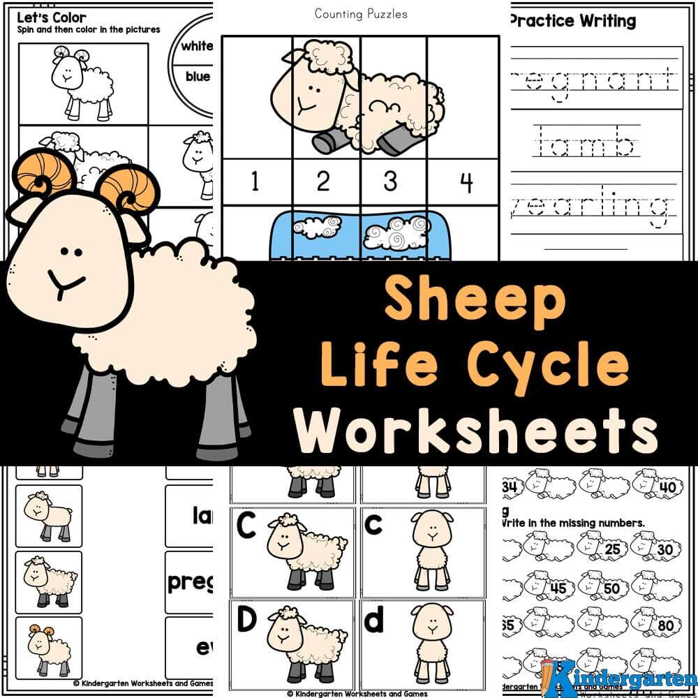 FREE Printable Sheep Life Cycle Worksheets