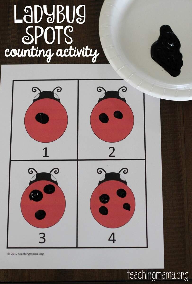 Ladybug Spots Counting Activity Ladybug Spots Counting Activity