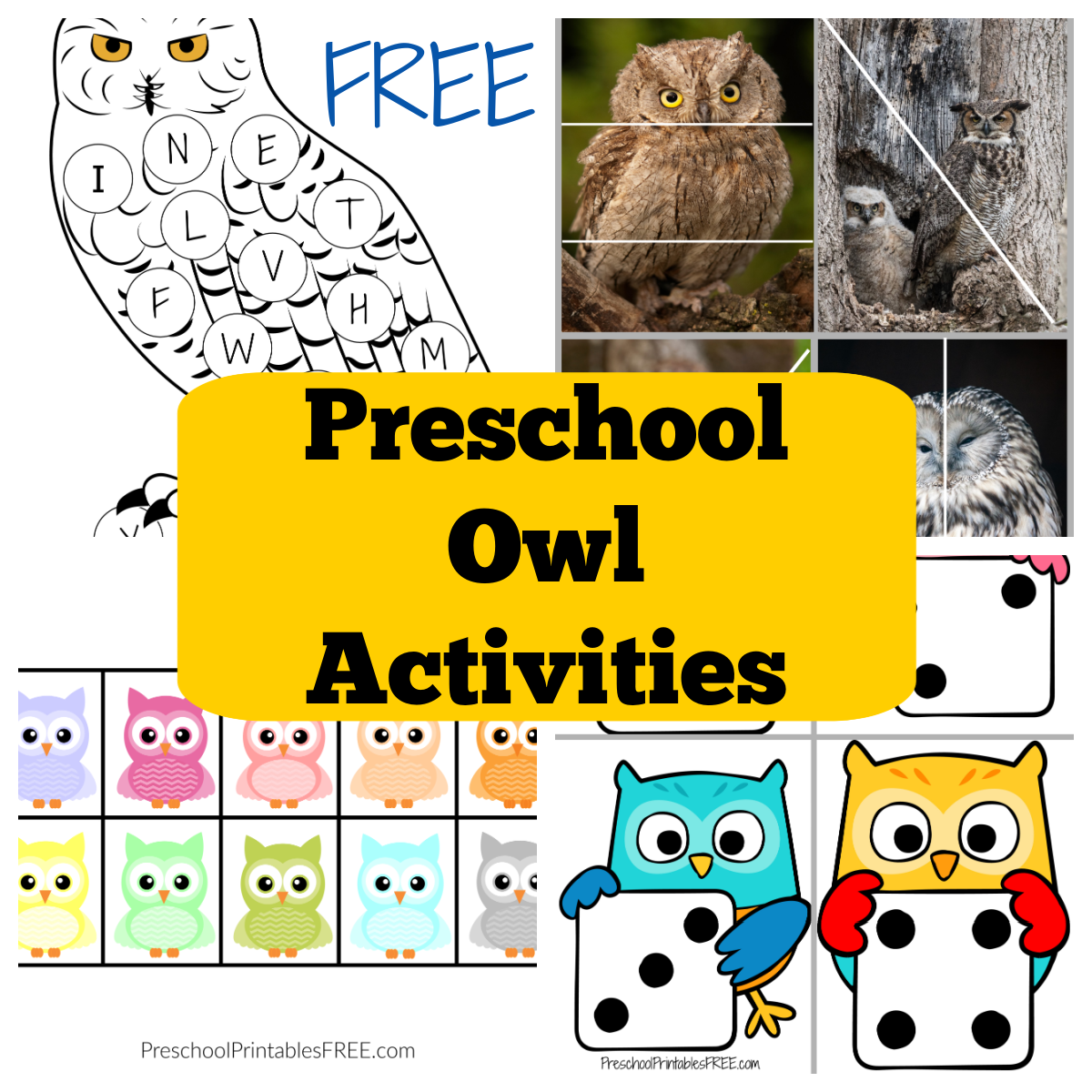 Preschool Owl Activities Free Printable Free Preschool Printables